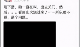 吃瓜娱乐圈打工人是谁,揭秘娱乐圈幕后奋斗者的真实生活